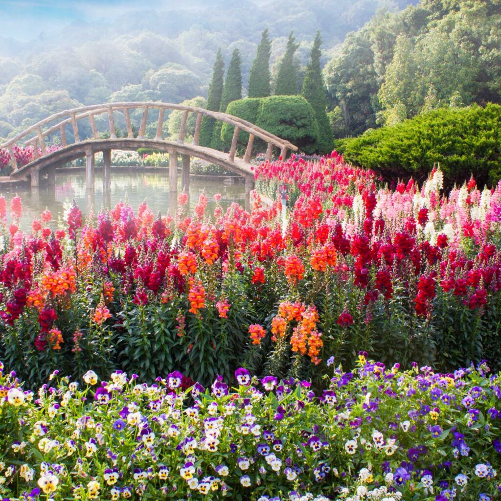 Earth Laughs in Flowers