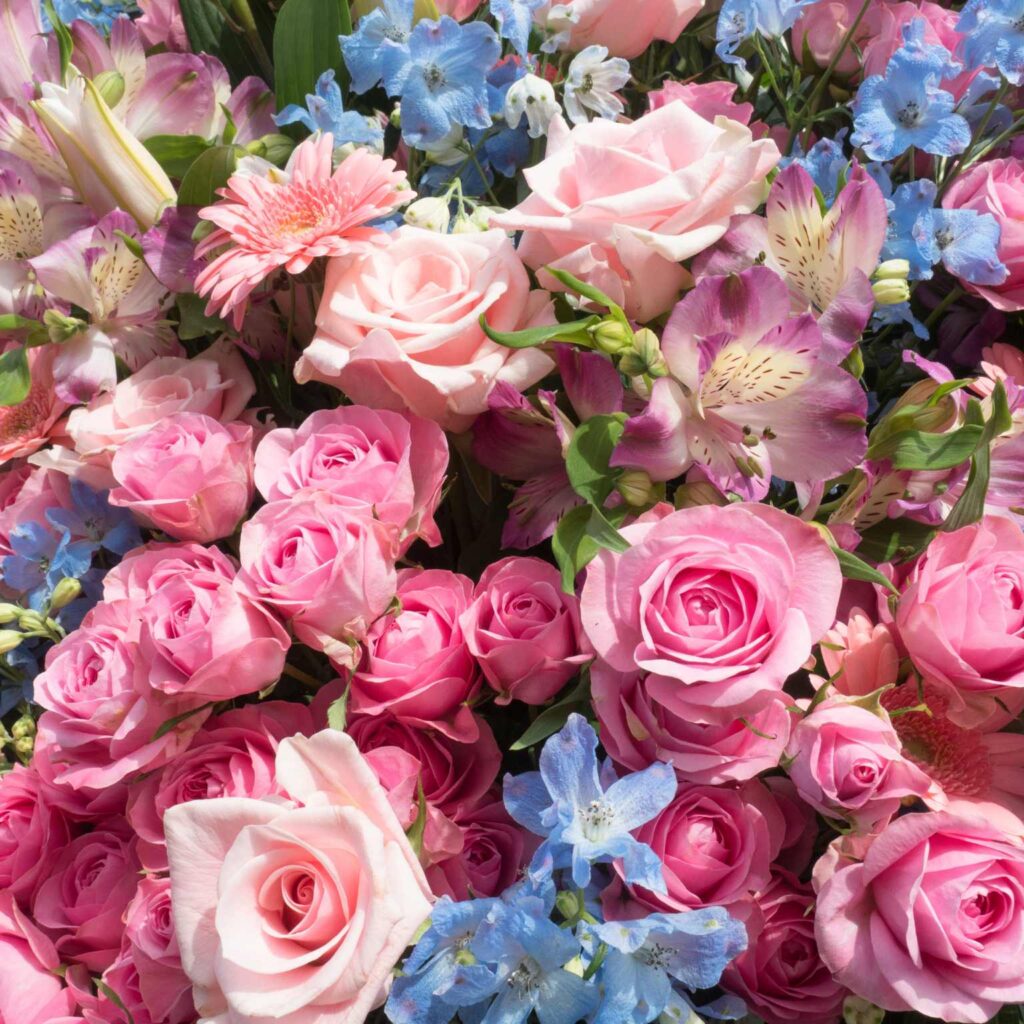 Express Flower