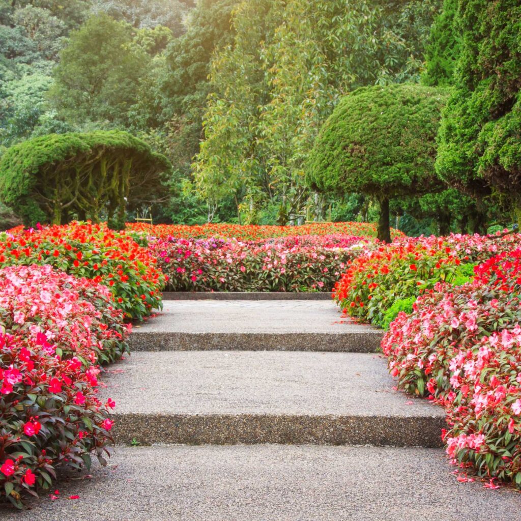 earth flowers